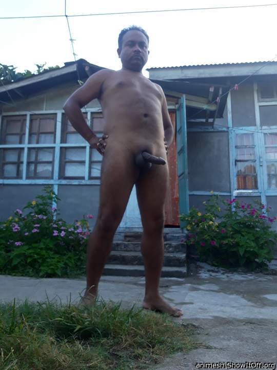 Adult image from Animesh