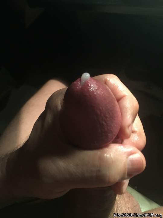 Adult image from Pibo2020