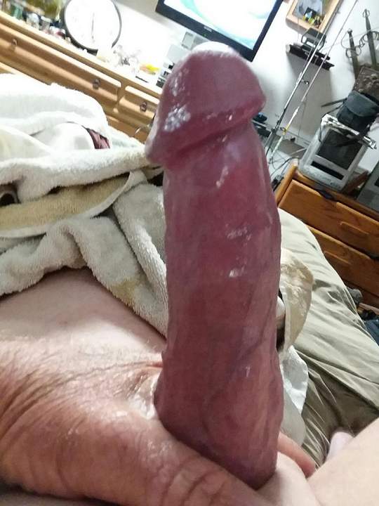 Adult image from fish4free