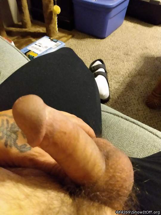 Adult image from Alf4269