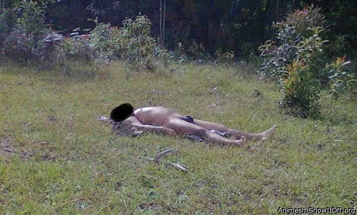 Adult image from Animesh
