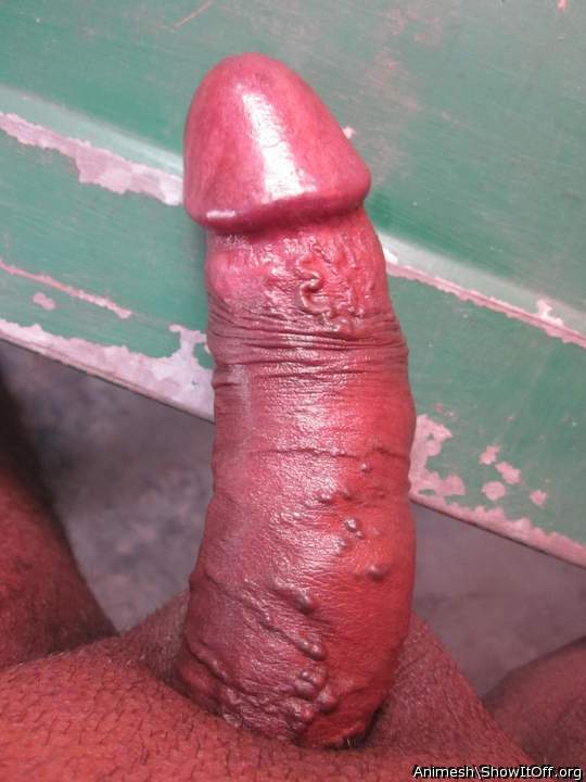 Adult image from Animesh