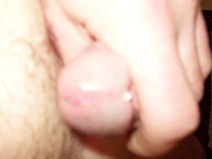 Adult image from Hornyashell