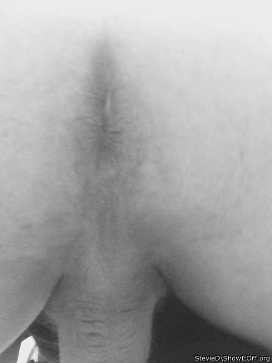 Adult image from StevieD