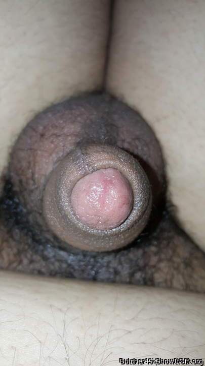 Adult image from butcher49