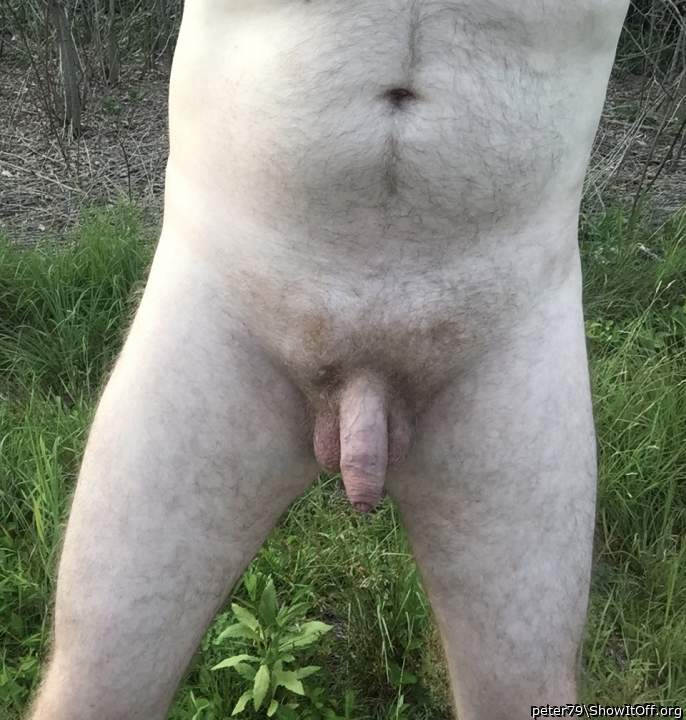 Adult image from peter79