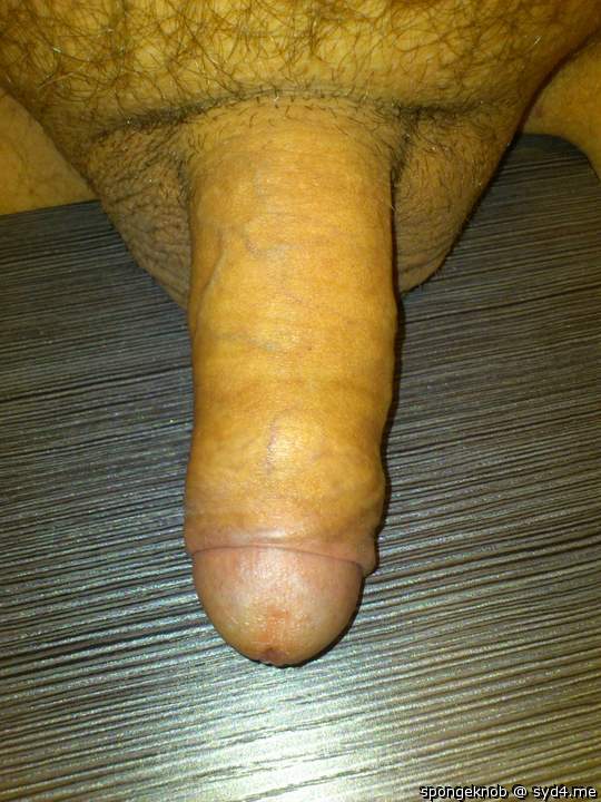 Adult image from spongeknob