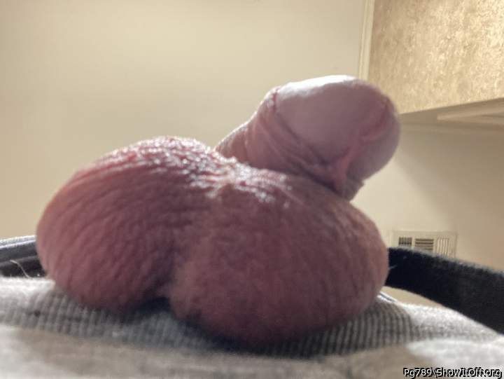 Adult image from Pg789