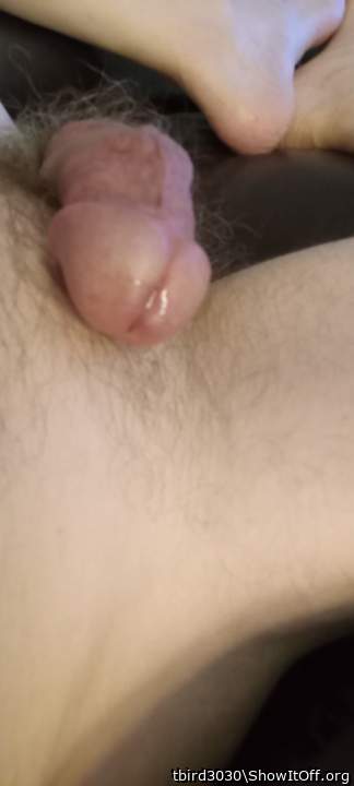 Adult image from tbird3030