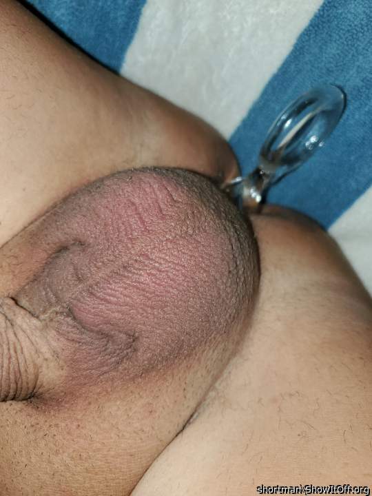 Adult image from shortman