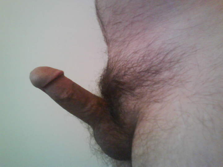 Adult image from cutard