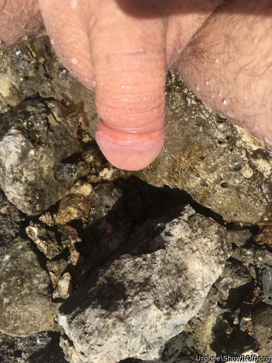 Adult image from Urghee