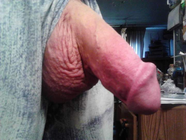 Adult image from fish4free