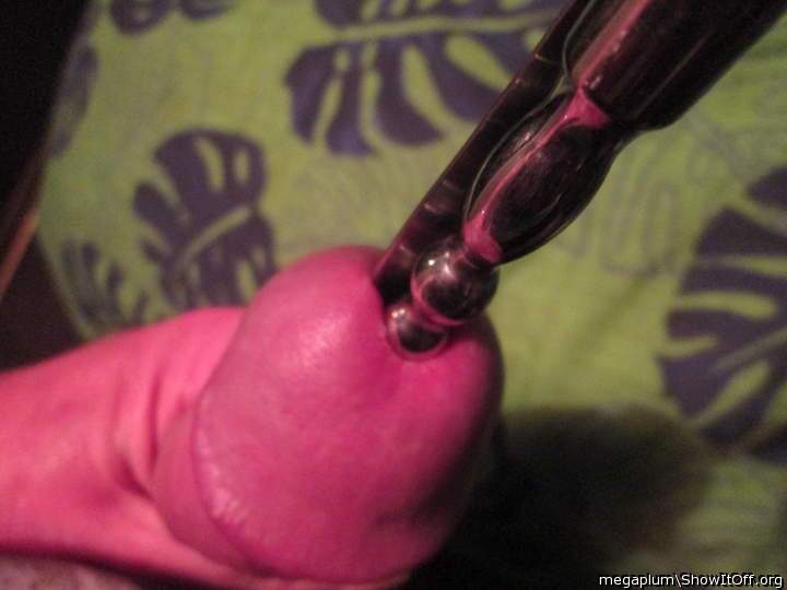 Adult image from megaplum
