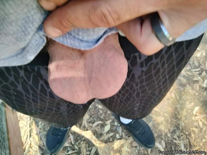 Adult image from Tnelson88