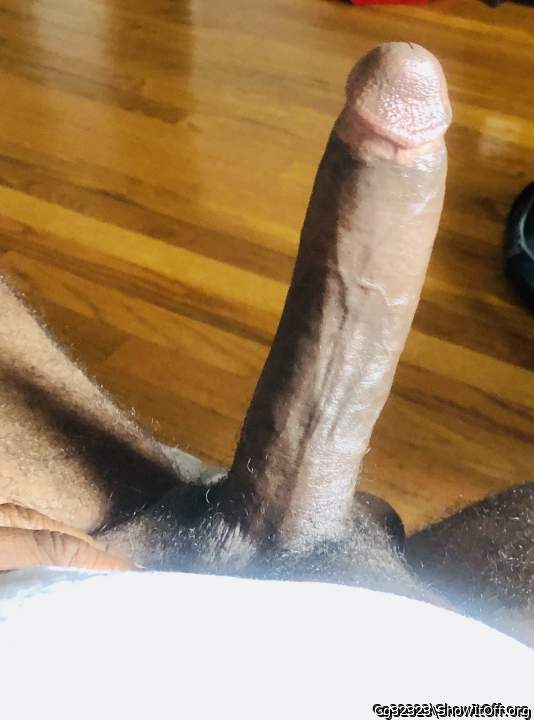 Adult image from Cg32323