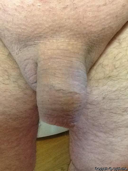 Adult image from Raypark