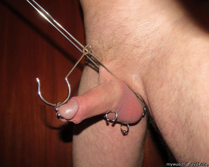 Adult image from mywusch