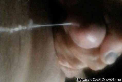 Adult image from BigAussieCock