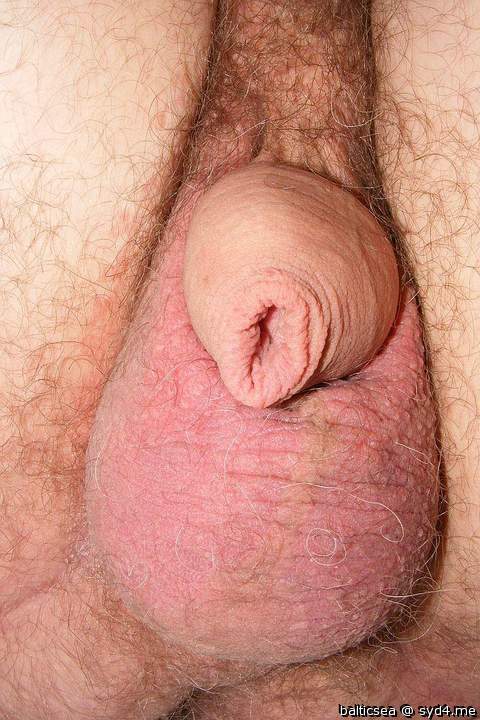 Adult image from balticsea