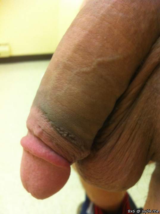 Adult image from 8x6