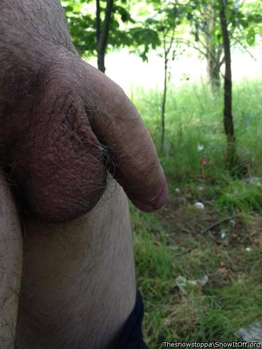 Adult image from Theshowstoppa