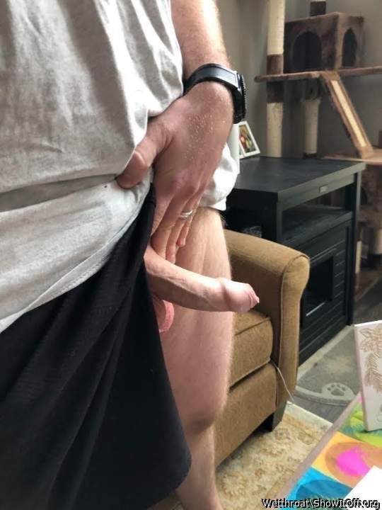 Adult image from Wetthroat