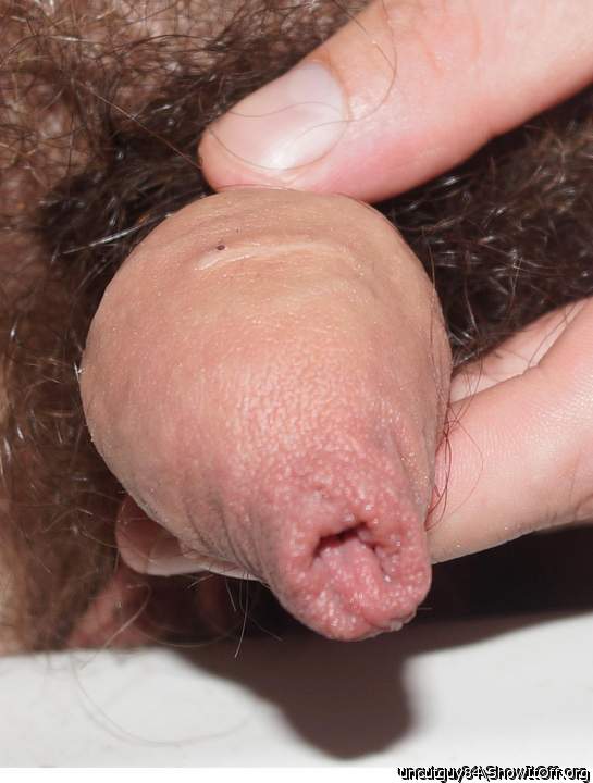 Adult image from uncutguy84