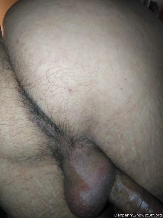 Adult image from Denpenn