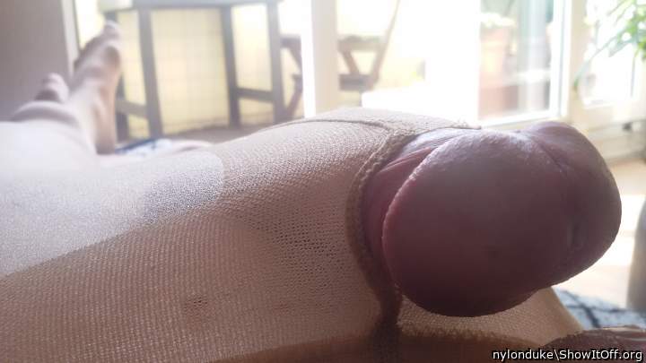 Adult image from nylonduke