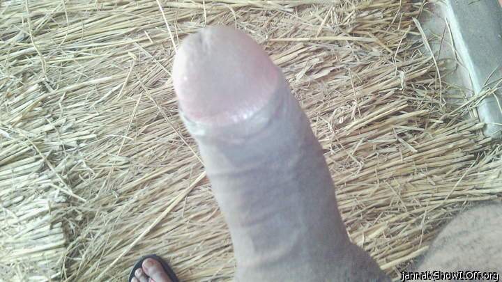 Adult image from jannat