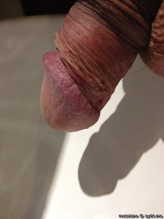 Adult image from roccotano