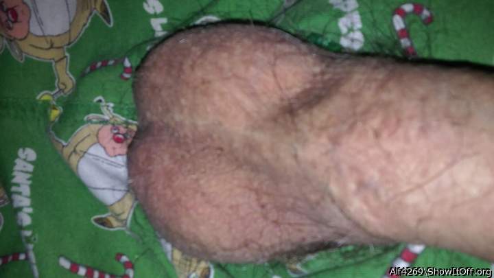 Adult image from Alf4269