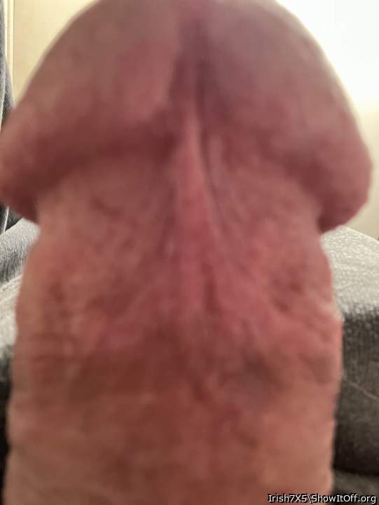 Adult image from Irish7X5