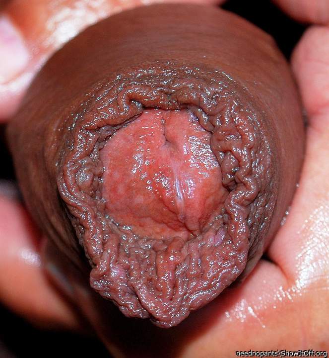 Adult image from neednopants