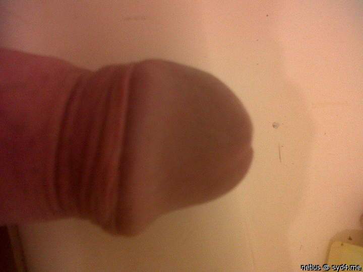 Adult image from netlus
