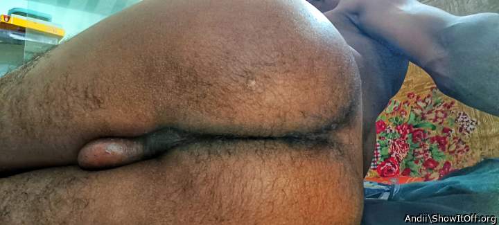 Adult image from Andii