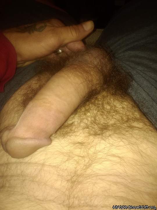Adult image from Alf4269