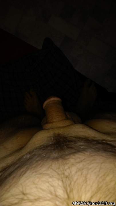 Adult image from Alf4269
