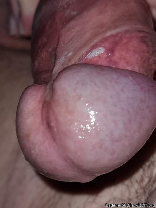 Adult image from Badener68