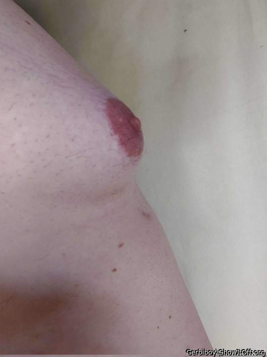 Adult image from Gerbiboy