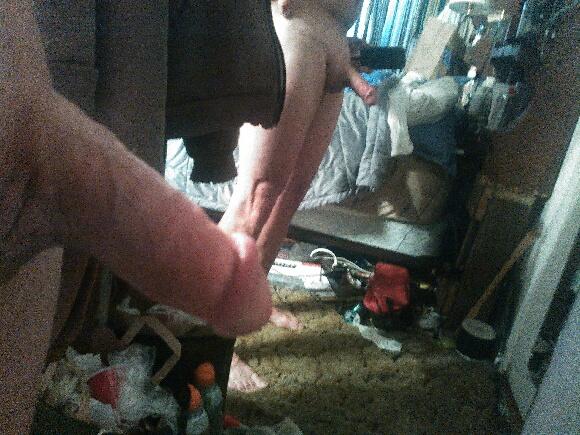 Adult image from fish4free