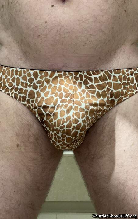 Adult image from Scuttle