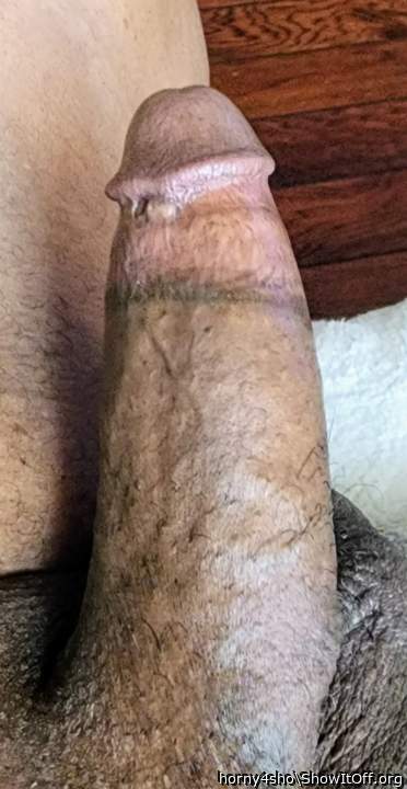 Adult image from horny4sho