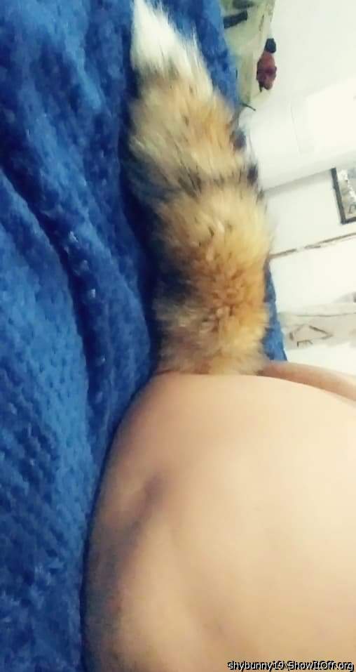 me with my new fox tail
