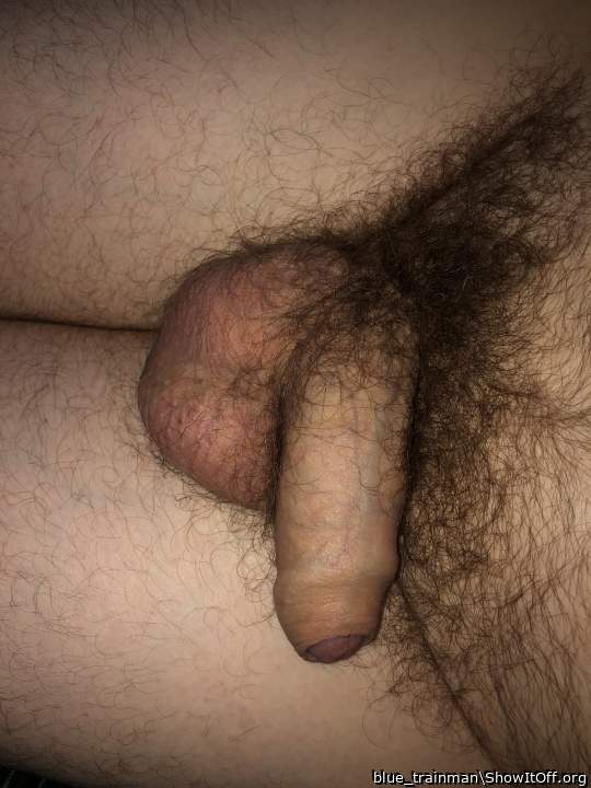 Sleeping cock