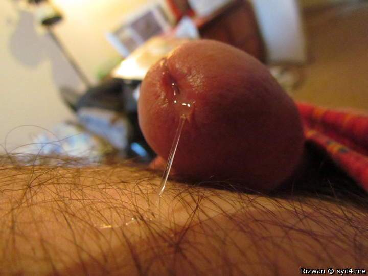 Adult image from Rizwan
