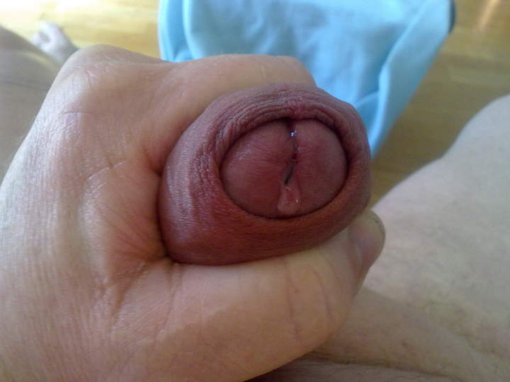 Adult image from padda