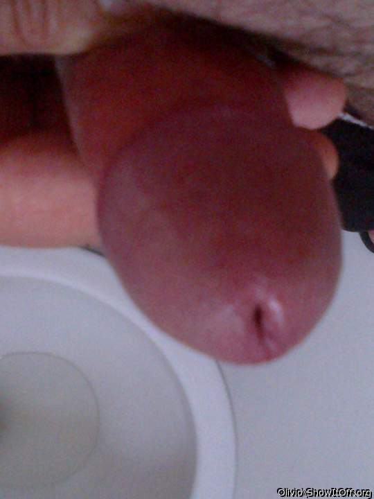 Adult image from olivio