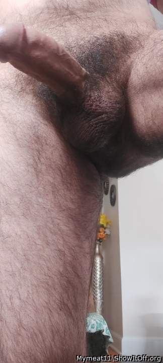 Adult image from Mymeat11